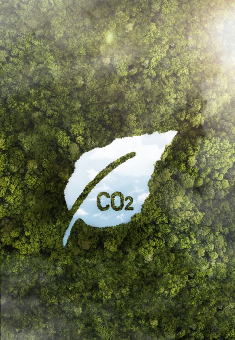 Ein Blatt, auf dem das Wort CO2 geschrieben steht.