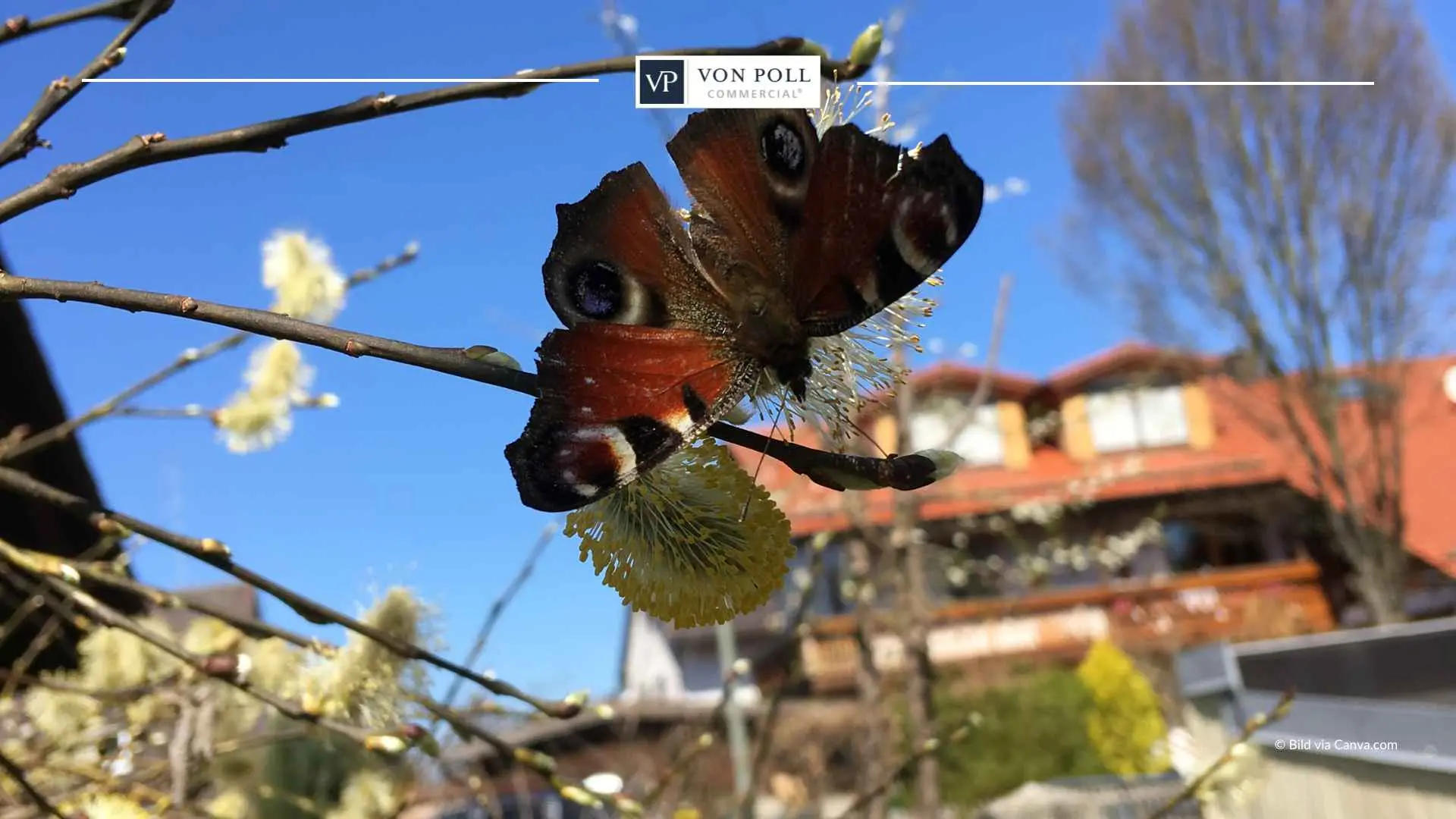 Επενδυτικό ακίνητο Vaterstetten ως επένδυση κεφαλαίου - VON POLL COMMERCIAL Μόναχο