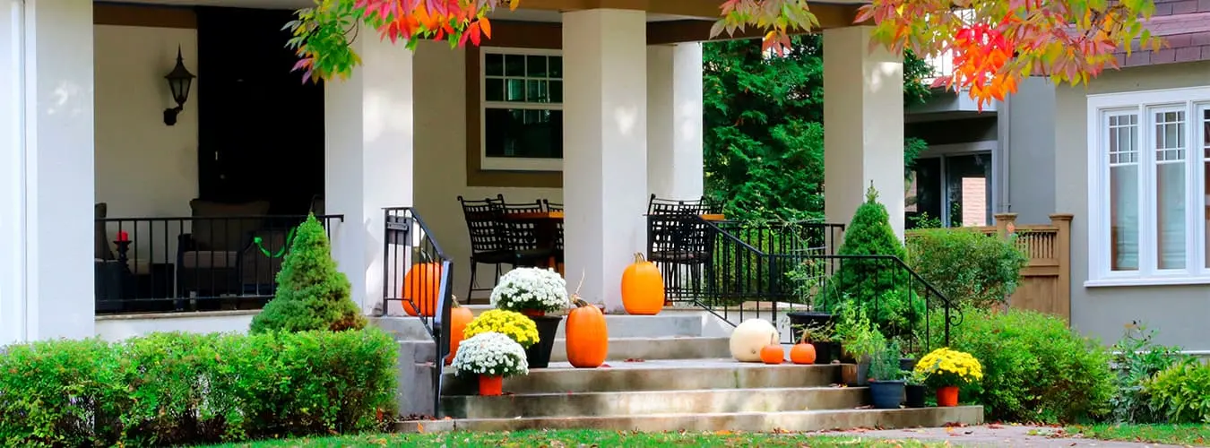 VON POLL IMMOBILIEN – Lifestyle-Blog Header-Image – Garten im Herbst