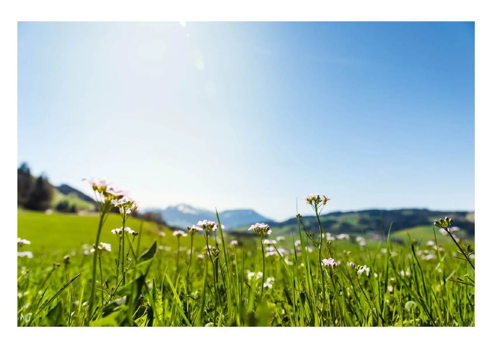 Landschaftsbild im nördlichen Oberallgäu